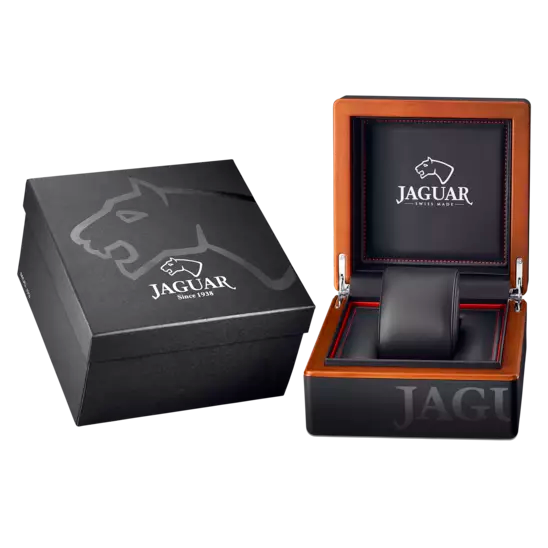 Jaguar pionnier nero